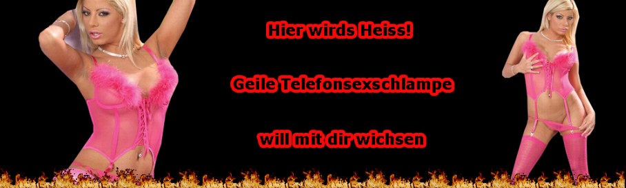 Stute auf der Suche nach Deckhengsten Telefonsex Stute